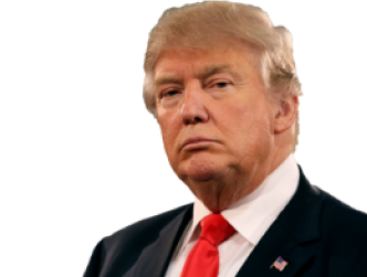 Donald Trump portrait