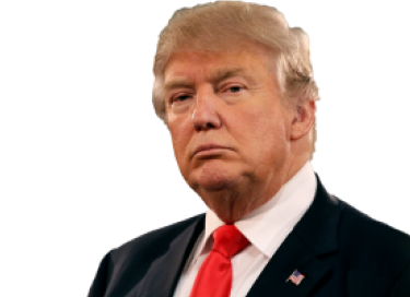 Donald Trump portrait